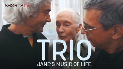 Trio Jane's Music of Life | Rated : PG-13